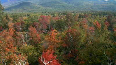 Bartlett › North-east: White Mountain National Forest