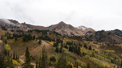 Uintah › South-west: Snowbasin Resort