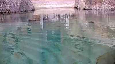 San Diego: San Diego Zoo
