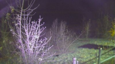 Fort McMurray › South