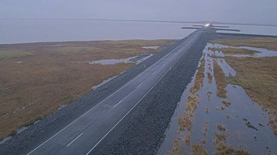 Hofn: Skógey
