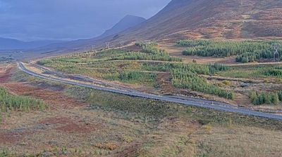 Dalvik: Hámundarstaðaháls