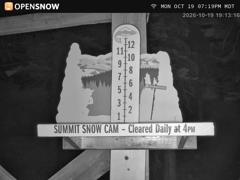 Whitefish - Snow Stake